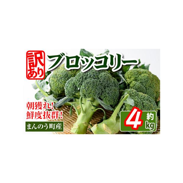 ■ 容量　ブロッコリー (家庭用)　約4kg■ 配送について　2026年2月上旬以降順次発送予定　※生育状況により出荷が前後する場合がございます。　※発送までに時間がかかる場合がございます　タイプ：【冷蔵】