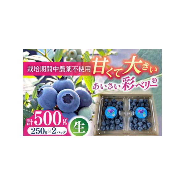 ■ 容量　ブルーベリー生果実　250g×2パック　生果実専用箱■ 配送について　毎年6月よりお申込み順に順次発送させていただきます。　※ブルーベリーの生育状況との兼ね合いから、上記日程より発送が前後する場合がございます。　※発送準備状況との...