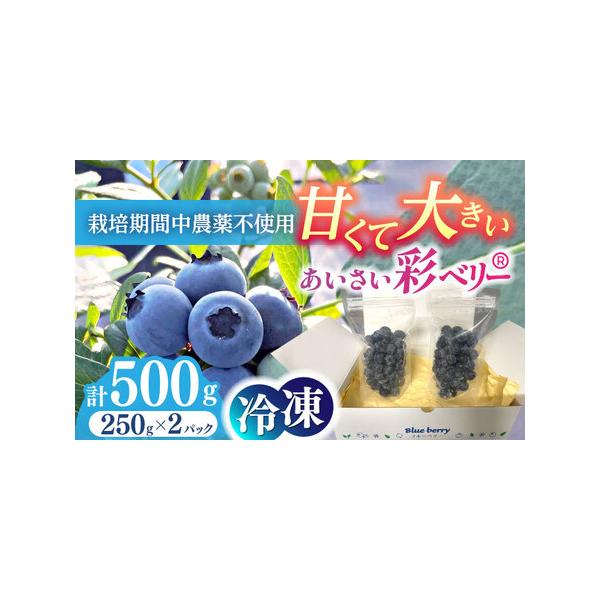 ■ 容量　ブルーベリー冷凍果実　250g×2パック　冷凍果実専用箱■ 配送について　毎年7月よりお申込み順に順次発送させていただきます。　※ブルーベリーの生育状況との兼ね合いから、上記日程より発送が前後する場合がございます。　※発送準備状況...