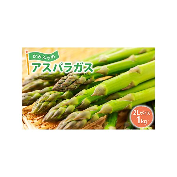 ■ 容量　グリーンアスパラガス　品種：ガリバー　入数：1kg　500gずつ鮮度保持袋pープラスに入れてから段ボールに入れます。（1kg箱）　　【お申込み前に必ずお読みください】　●お礼の品をお受取いただきましたら、すぐにお礼の品の状態をご確...