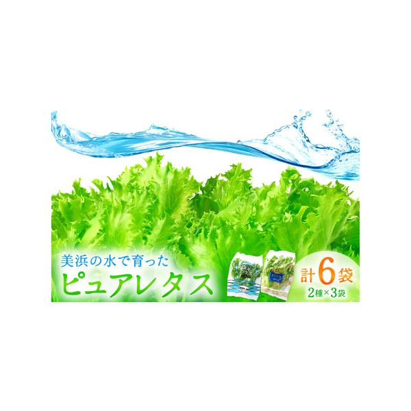 ■ 容量　■ 内容量等　低カリウムレタス＆フリルレタス6個セット　【1】JOIA（低カリウムレタス）65g×3パック　【2】フリルレタス　100g×3パック　産地：福井県美浜町　■ 原材料　レタス　■ 本品に含まれるアレルギー表示28品目　...