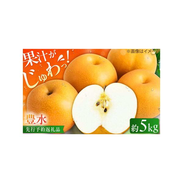 ■ 容量　梨5kg×1ケース■ 配送について　2026年8月下旬より順次発送　タイプ：【冷蔵】