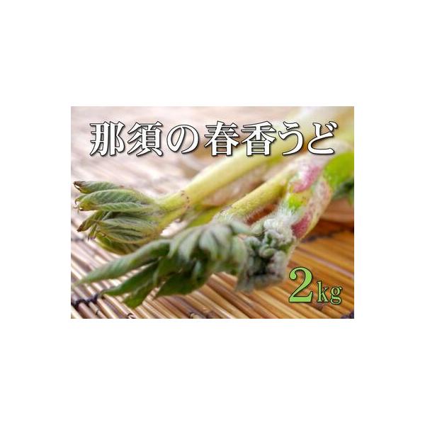 ■ 容量　１箱２ｋｇ（６本〜８本入り）    　【品種】山うど　【産地】大田原市産　【賞味期限【保存方法】】　出荷日から１０日以内■ 配送について　2026年1月中旬 〜 2026年2月中旬 まで 　【受付期間】　〜2025年12月31日　...