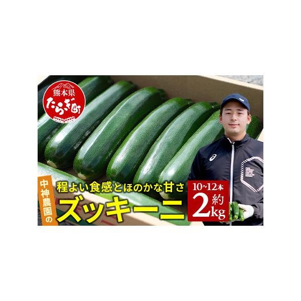 ■ 容量　ズッキーニ 約2kg(10〜12本)■ 配送について　2025(R7)年11月上旬〜2026(R8)年5月下旬に順次発送いたします。　※生育状況により前後する場合がございます。あらかじめご了承ください。　　※寄附者様都合(長期不在...