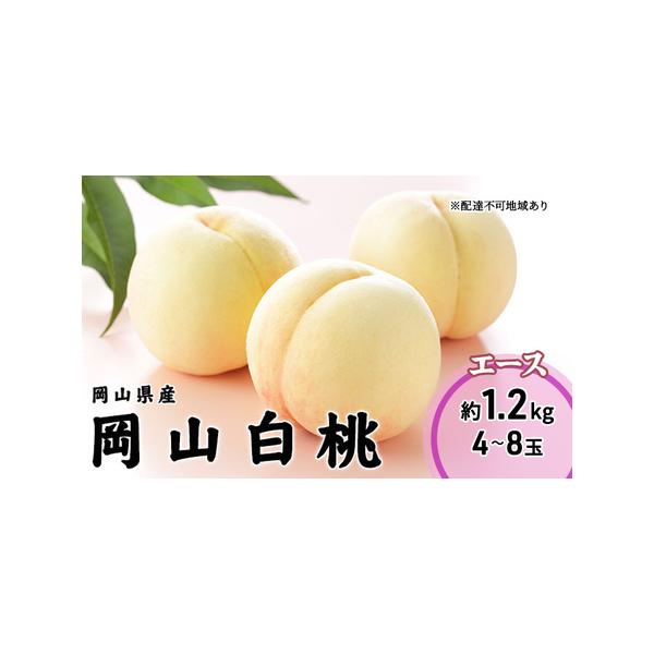 ■ 容量　岡山白桃 エース4〜8玉 約1.2kg　岡山県内産（5条8号ハ）　※お届け日、時間の指定は申し訳ないですが、お受けできません。　※品種の指定、および果実の大きさや玉数等をご指定いただくことはできません。　※品種によって、多少色の違...