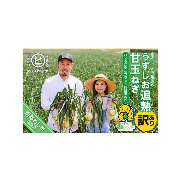 ■ 容量　玉ねぎ（訳あり）　5kg■ 配送について　3月28日〜6月30日寄附分は新玉ねぎ（訳あり）を発送します。　※新玉ねぎは、4月上旬から6月下旬にかけて順次発送予定です。　※長期不在、転居等でお受け取りいただけない場合、再送はいたしか...