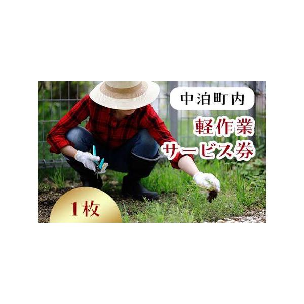 ■ 容量　軽作業サービス券(1人1時間)×1枚  　★サービスエリア：中泊町内  　★作業例は下記をご確認ください。    　※作業内容により、2人30分のサービス提供になる場合もございます。  　※危険な作業や重量物の搬出等はお受けできま...