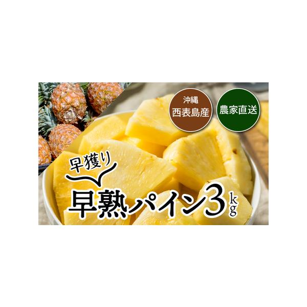 ■ 容量　数量3〜5玉　内容量約3kg前後　　キャップ掛け　タグ付け　　ふるさと納税オリジナル化粧箱使用　タイプ：【常温】