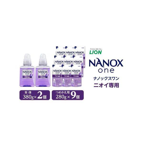 ふるさと納税 ライオン「NANOX one」ニオイ専用本体・替セット（380g×2