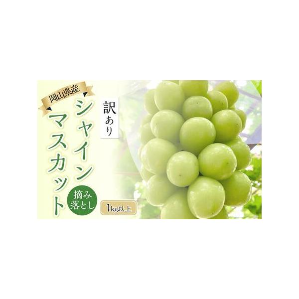■ 容量　シャインマスカット　1kg以上　（房から離れた粒のみのお届けします）　【保存方法】冷蔵　【賞味期限】　発送から約５日■ 配送について　2026年9月中旬〜10月中旬頃まで　【受付期間】　2025年4月4日〜2026年9月30日　タ...