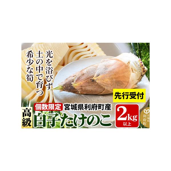 ■ 容量　■名称：宮城県利府町産 白子たけのこ　■内容量：2kg以上（2〜6本）　■保存方法：冷蔵庫の野菜室での保存　■賞味期限：発送日より6日以内（冷蔵保存時）　■注意事項：　★配送される年、時期をよくご確認ください★　・収穫したたけのこ...