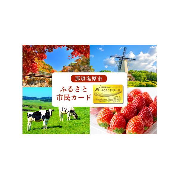 ■ 容量　ふるさと市民カード1枚■ 配送について　30営業日以内に出荷　タイプ：【常温】