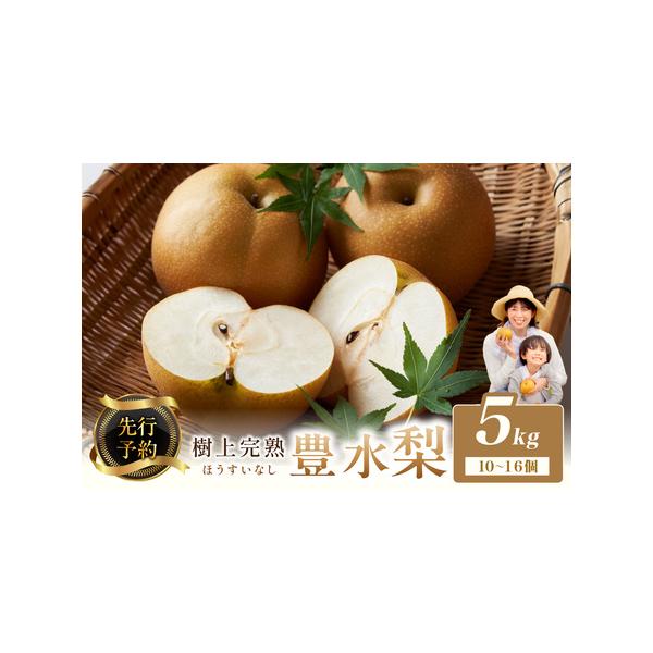 ■ 容量　5kg（10〜16個）　　【賞味期限】　お早めにお召し上がりください。■ 配送について　【配送可能期間】　2026年8月下旬〜9月下旬　※天候や生育状況により変動する場合がごさいます。　タイプ：【常温】