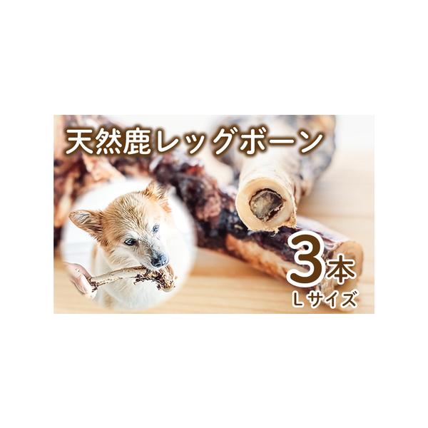 ■ 容量　3本(Lサイズ)　　■原材料　日本鹿肉■ 配送について　※決済からお届けまで180日以上お待ちいただく可能性がございます。予めご了承の上ご寄附をお願いいたします。　タイプ：【常温】