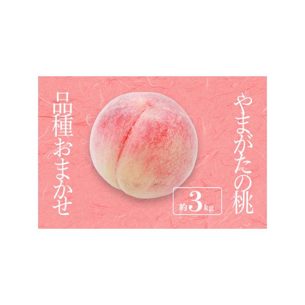 ■ 容量　3kg（8〜12玉）■ 配送について　2026年08月中旬頃〜09月下旬頃にかけて、寄付受付順に発送　タイプ：【冷蔵】