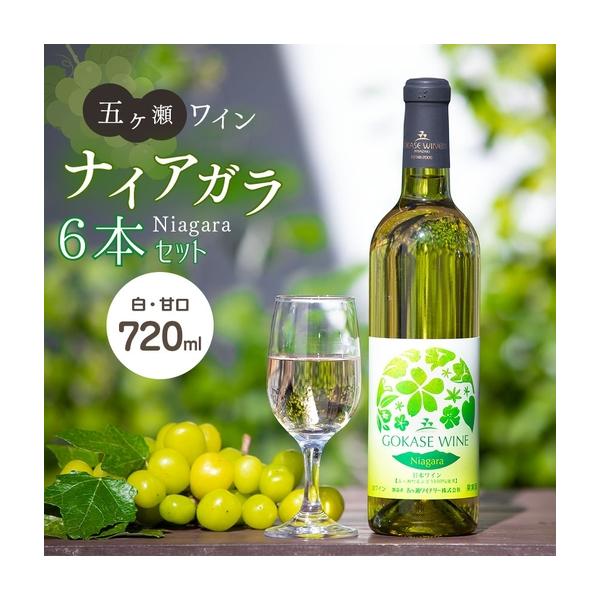 ふるさと納税 五ヶ瀬ワイン ナイアガラ(白・甘口)6本セット 720ml／本 宮崎県五ヶ瀬町