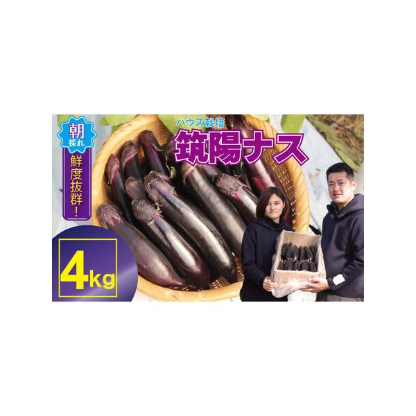 ■ 容量　筑陽ナス（小城市産）：4kg■ 配送について　※ご入金確認後、11月中旬より随時お届けします。※現在、お申し込みいただいた分は、R8年1月中旬以降の発送となります。予め、ご了承ください。　返礼品発送後、「発送完了について（お知らせ...
