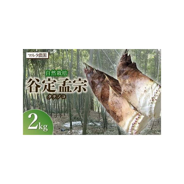 ■ 容量　谷定孟宗（タケノコ）2kg　　【産地名】山形県鶴岡市　【産年】令和8年産　【提供事業者】マルタ農園　　【賞味(消費)期限】なるべくお早めにお召し上がりください。■ 配送について　【申込期日】令和8年4月25日までご入金ください。　...
