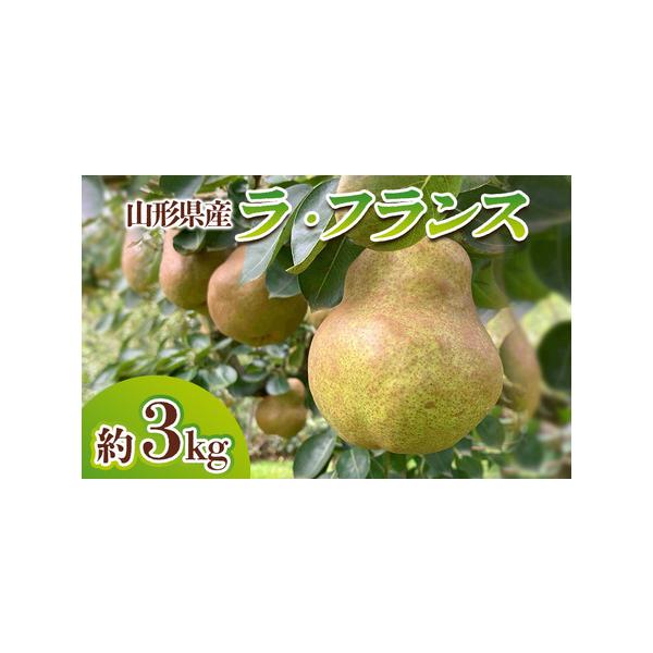 ■ 容量　【令和8年産】　山形県産 ラ・フランス 秀品 約3Kg(6〜12玉)■ 配送について　【申込期日】2026年10月10日まで　【発送期間】2026年10月27日頃〜2026年11月27日頃　※状況により配送時期が前後する場合がござ...