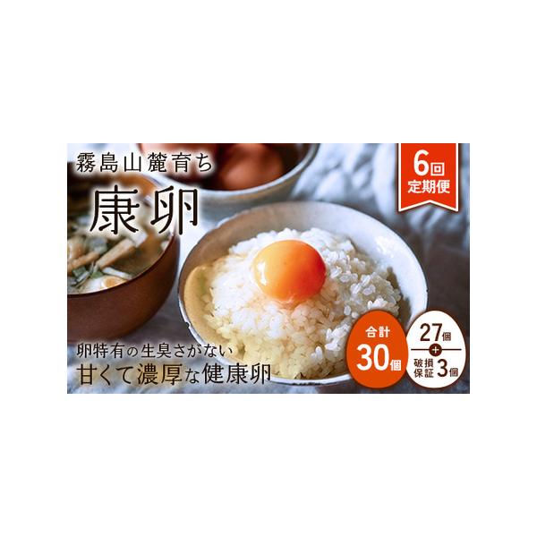 ふるさと納税 卵【6回定期便】霧島山麓育ち こだわり卵 康卵 計 ふるさと納税 卵【6回定期便】霧島山麓育ち こだわり卵 康卵 計