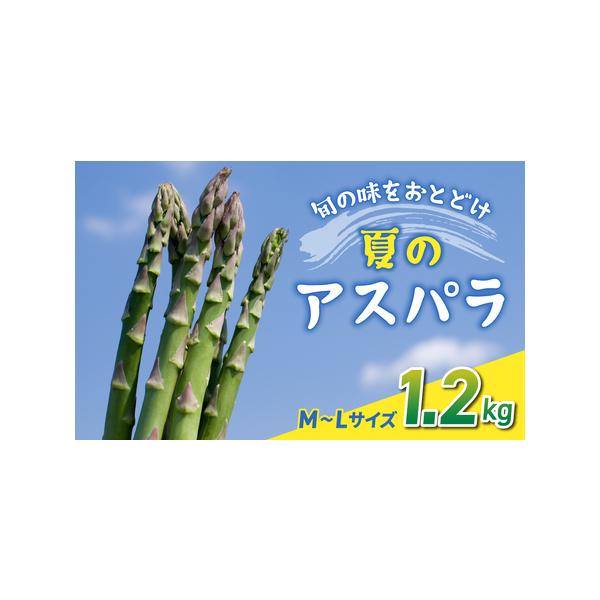 ■ 容量　細（M〜L）サイズ：約1.2kg (おおよそ40〜60本)■ 配送について　2026年7月上旬〜9月中旬の間に順次発送　タイプ：【冷蔵】