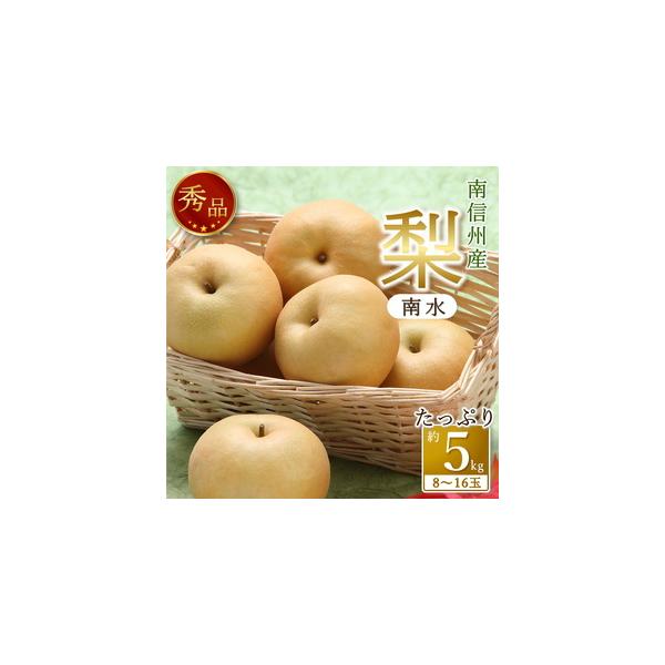 ■ 容量　内容量：約5kg(8〜16玉)　原産地：南信州産(長野県高森町を含む)　賞味期限：出荷日から6日　提供元：JAみなみ信州農業協同組合■ 配送について　配送予定：2026年9月10日〜2026年9月30日　配送日の指定はできません。...