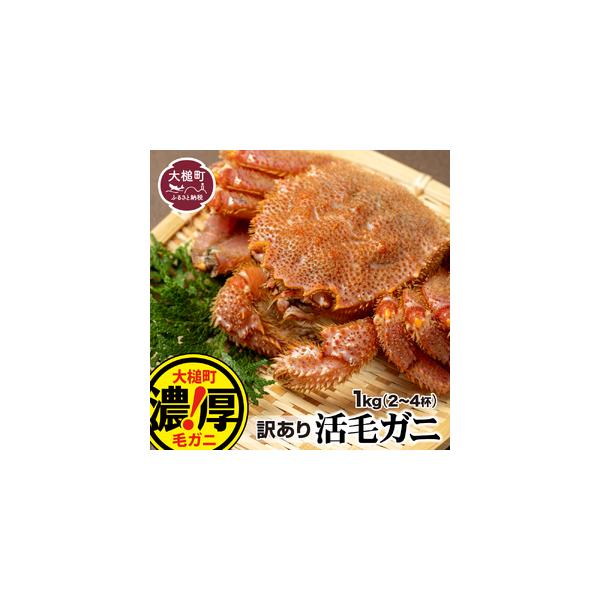 ふるさと納税 【令和8年発送】【訳あり】三陸産 活毛ガニ 1kg(2〜4杯)【08】【2026年2月〜4月発送】先行予約｜訳ありカニ 国産 冷蔵 三陸 濃厚 .. 岩手県大槌町
