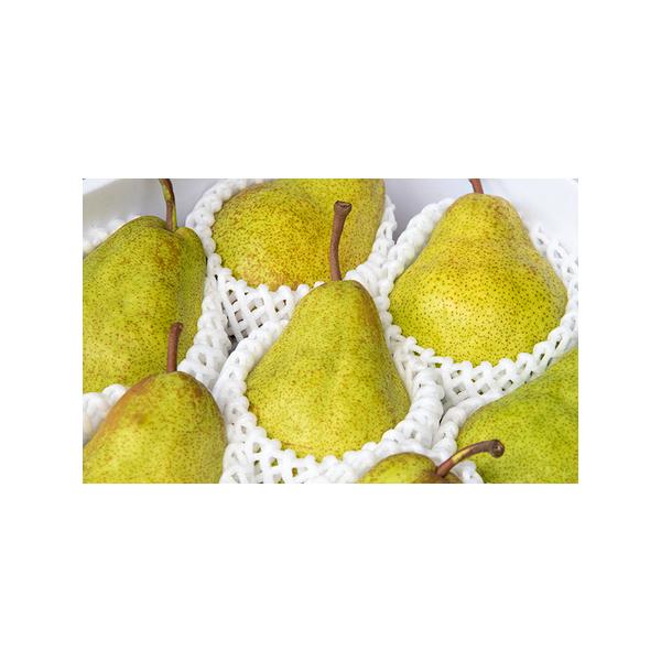 ■ 容量　【品種】エルドラド　【等級】特秀　【容量】３kg詰め■ 配送について　2026年1月中旬頃発送　（生育状況により配送期日が前後する場合があります。発送予定が分かり次第、一斉メールで連絡します）　※1.配送日（曜日指定）は指定できま...