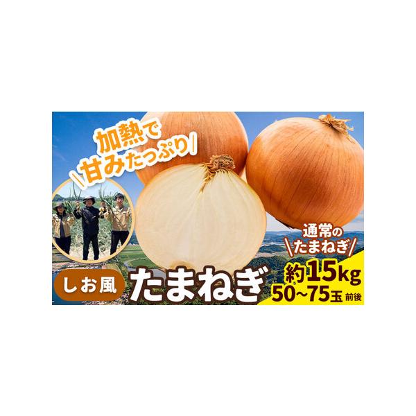 ■ 容量　約15kg(50〜75玉前後)■ 配送について　6月上旬-6月末頃出荷(土日祝除く)　タイプ：【常温】
