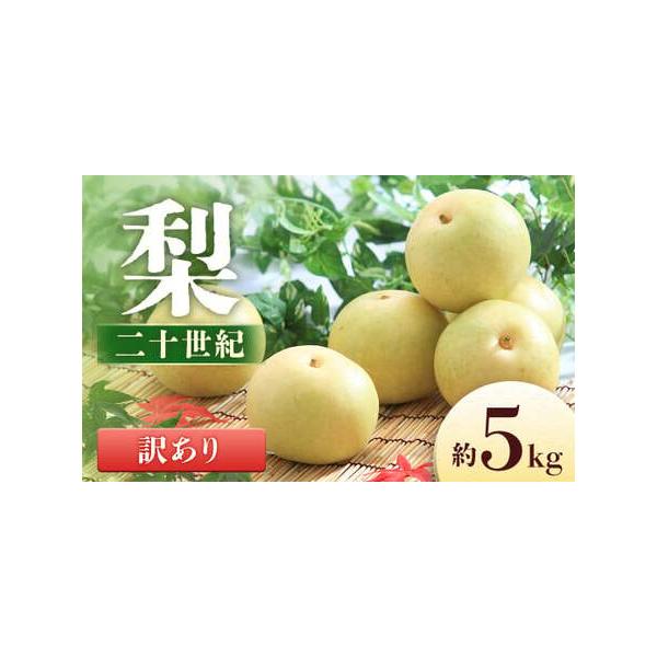 ■ 容量　＜2026年に発送する予約注文分です＞　内容量：約5kg(8〜16玉)　※大きさで玉数は異なります。■ 配送について　2026年9月上旬〜9月中旬　発送期間の３週間前までにご連絡いただければ、荷物の着日指定を承ります。（着日は配送...