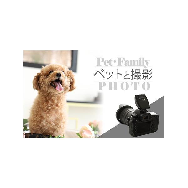 ■ 容量　ペットと一緒に撮影、選べるデータ３枚付き（LINEまたはWEB納品）　　タイプ：【常温】