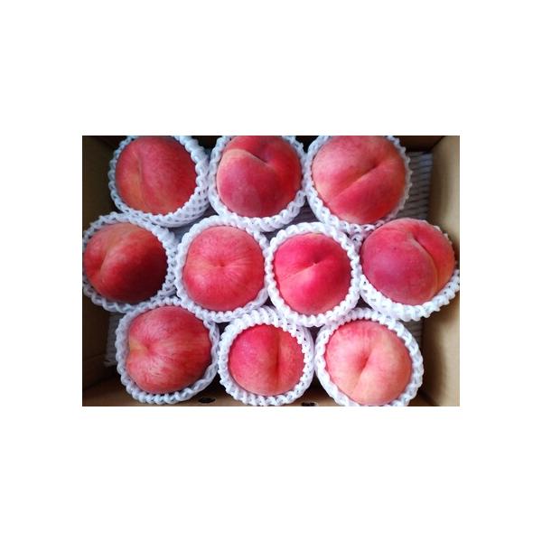 ■ 容量　季節の桃（品種はおまかせください）３ｋｇ　７玉〜１２玉　秀品　品種例：あかつき、まどか、川中島、なつおとめ、美郷、美晴、などから１品種　※品種・玉数の指定はできません。　※天候により出荷時期や規格（数、サイズ、品種等）を変更する場...