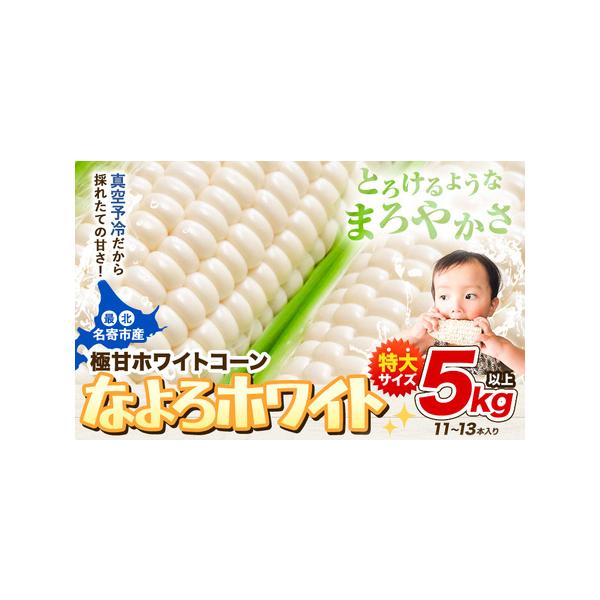 ■ 容量　5kg（11本~13本）■ 配送について　2026年8月上旬-9月中旬頃出荷　タイプ：【冷蔵】