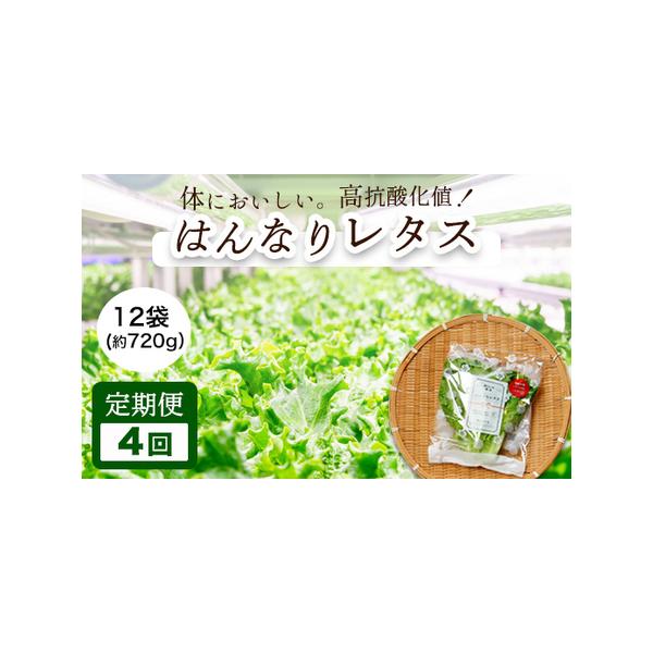 ■ 容量　60g前後×12袋×4回■ 配送について　1月、4月、7月、10月の金曜日発送　※決済完了の翌月以降の発送となります。　　例：1月に決済完了→4回定期便であれば4月より発送開始　タイプ：【冷蔵】【定期】【ギフト】【のし】
