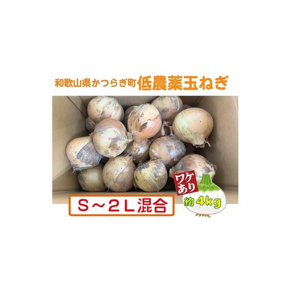 ■ 容量　玉ねぎ Sサイズ〜２Lサイズ 約4kg程度　※発送時期により内容が異なります。種類はお選びいただけません。　　【【賞味期限・保存方法】】　新玉ねぎ（4月中旬〜5月下旬頃）　※お届け後、冷蔵庫にて1週間程度（※新玉ねぎは水分量が多い...