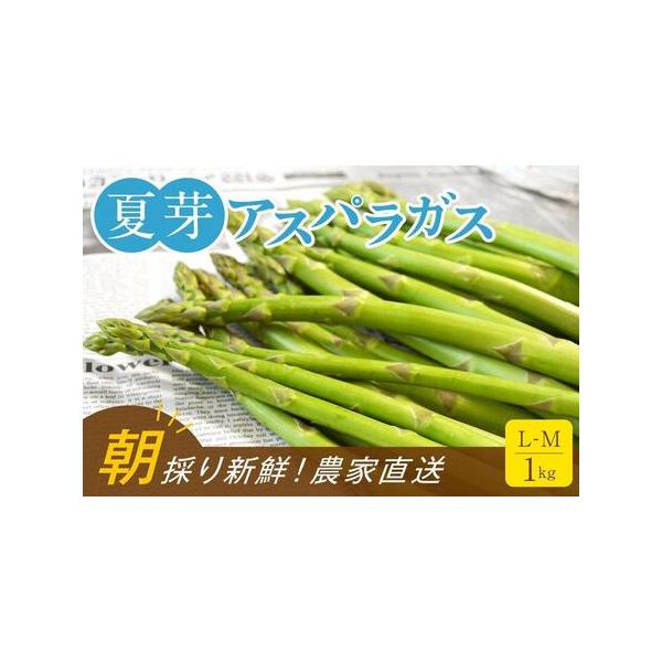 ■ 容量　アスパラガス 1kg（L-Mサイズ）　【保存方法】　アスパラは立てて保存することで鮮度が長持ちします。　食べ切れなかった場合はラップまたはポリ袋をかぶせて、冷蔵庫に立てて保存してください（保存温度の目安は2〜4℃）　【賞味期限】　...