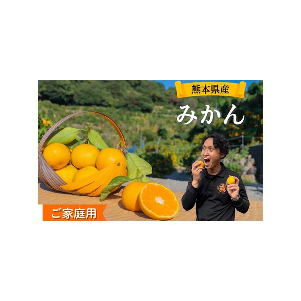 ふるさと納税 【訳アリ】「河内みかん堂」のみかん4kg＋傷み補償付き
