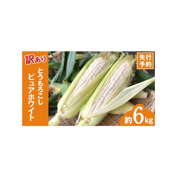 ■ 容量　【訳あり】とうもろこし（ピュアホワイト）約6kg　※生ものですので天候により、とうもろこしの生育状況が変わってきます。　大きさが小さい場合は本数が多くなる場合もあります。■ 配送について　2026年6月下旬から受付順に順次発送　※...