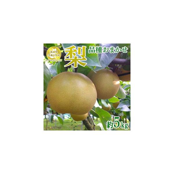 ■ 容量　約5kg (7〜14玉サイズ)■ 配送について　2025年9月中旬〜2026年1月下旬頃　タイプ：【冷蔵】