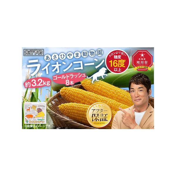 ■ 容量　あさひやま動物園ライオンコーン約3.2kg（ゴールドラッシュ8本）　【賞味期限】　7日■ 配送について　2026年8月下旬から発送開始予定　※下記内容についてご了承の上、お申込みをお願いいたします※　・収穫時期により発送時期が前後...