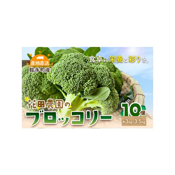 ■ 容量　10個（約3〜3.5kg）■ 配送について　11月下旬-3月末頃出荷　タイプ：【冷蔵】