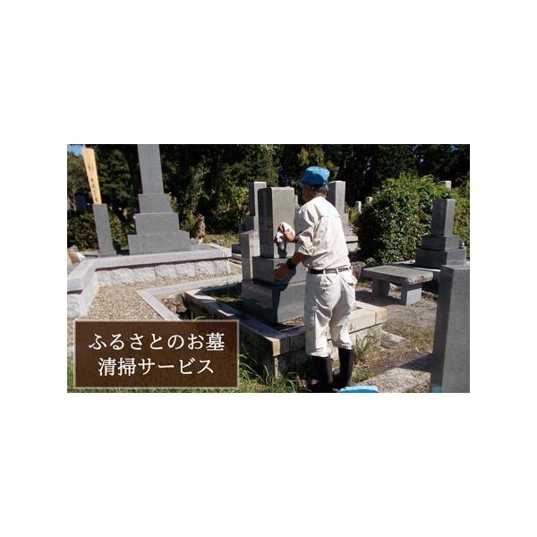 ■ 容量　提供サービス（1回分）：墓地の清掃（面積1坪程度、除草やゴミ拾い）、枯れた花の処分、献花、ちょうちん飾り・撤去　　タイプ：【常温】