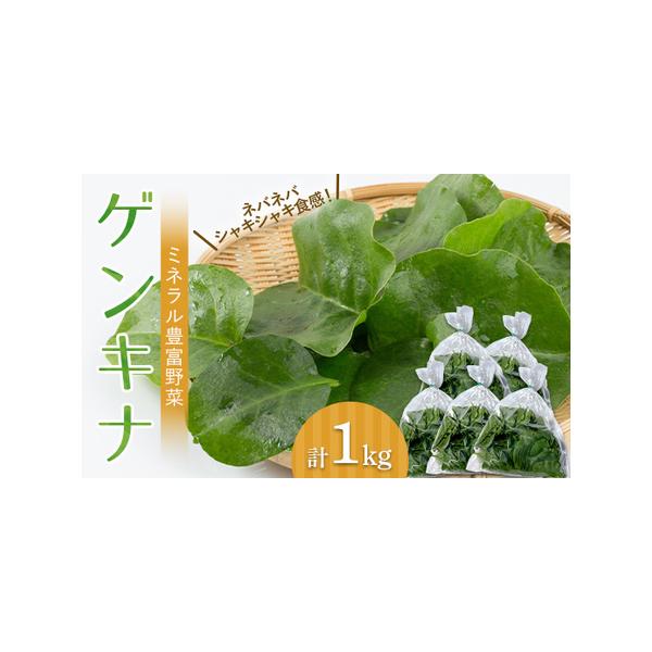 ■ 容量　ゲンキナ 200g 5袋入り×1箱■ 配送について　2026年5月中旬〜2026年11月初旬　　タイプ：【常温】