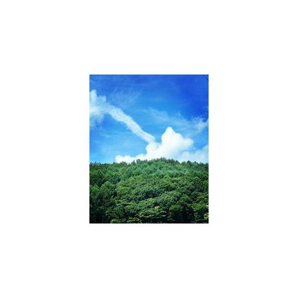 ■ 容量　※上記に記載■ 配送について　2024-06-20以降、お申し込み後1〜2週間程度で順次発送予定　タイプ：【常温】