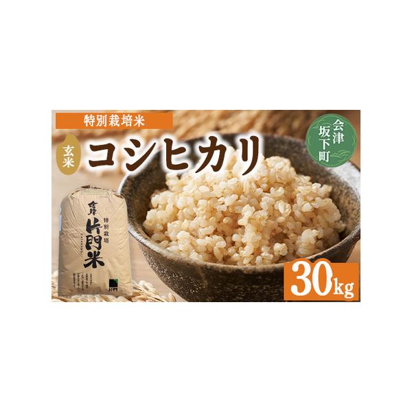 ふるさと納税 3-D コシヒカリ 玄米 会津 30kg 令和7年産 ｜ 特別栽培米
