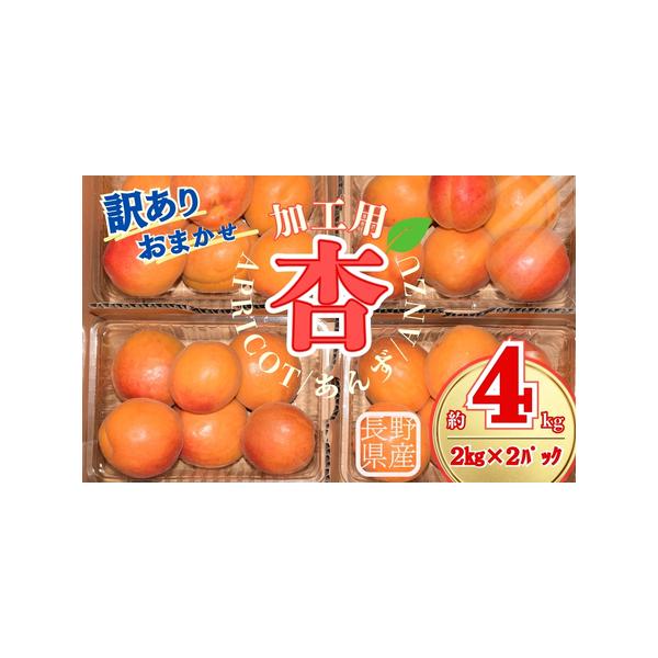 ■ 容量　段ボール 約2kg×2パック 計約4kg 詰め 　品種：平和・昭和・信州大実・信月のいずれかをお届け致します。　品種の指定はできませんので予めご了承ください。■ 配送について　2026年6月中旬~6月下旬の期間で順次発送いたします...