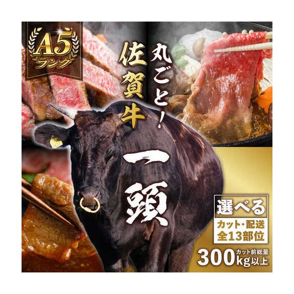 furunavi_1246574
