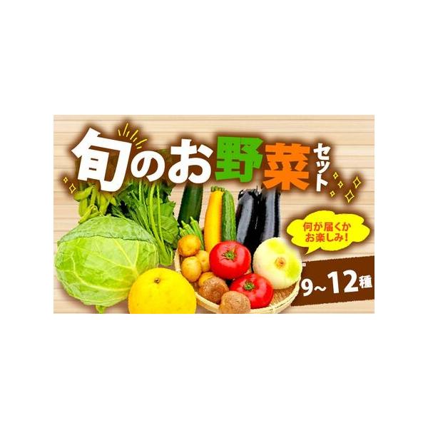 ■ 容量　JAおおいがわ管内でとれた野菜、果物など 9?12種入り　　下記の中からおまかせ9?12種をお届けします。　★春…トマト・胡瓜・アイスプラント・玉葱・チンゲンサイ・椎茸・リーフレタス・キャベツ・たけのこ・ズッキーニ・かき菜・さやえ...