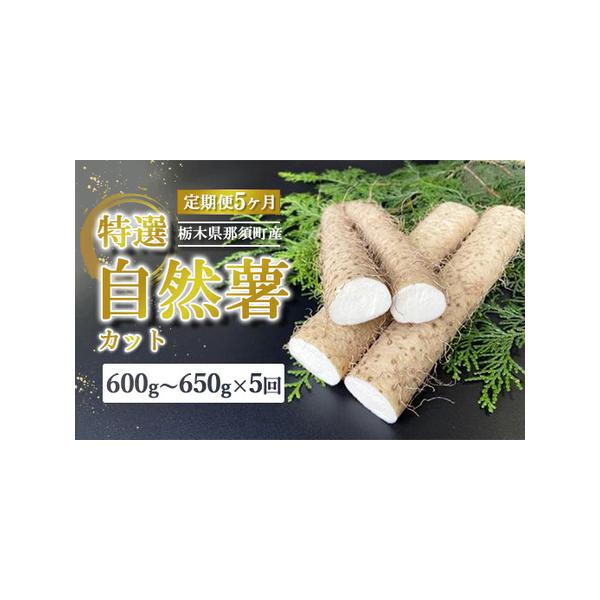 ■ 容量　自然薯 600g〜650g×5回　押し麦 1袋×5回■ 配送について　入金完了の翌月に初回発送　※初回発送は2025年12月以降となります。　タイプ：【常温】【定期】