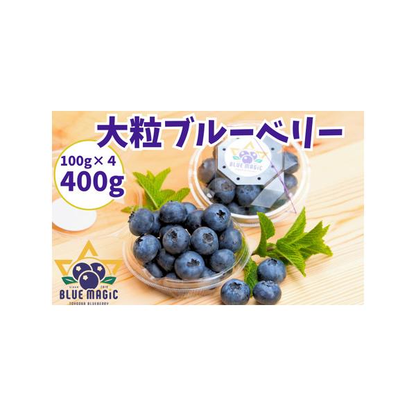 ■ 容量　400g（100g×4パック）■ 配送について　4月下旬から5月末頃まで　※日付指定は承れません。（月・火・金で発送）　※北海道・沖縄・離島への配送は不可となります。　タイプ：【冷蔵】